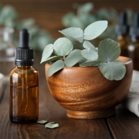 Eucalyptus Oil
