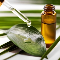 Tea Tree Oil